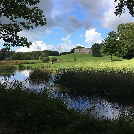 Curraghchase Cottage Kilcornan エクステリア 写真